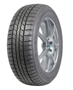 Летняя шина  Goodyear Wrangler HP All Weather 255/65R16